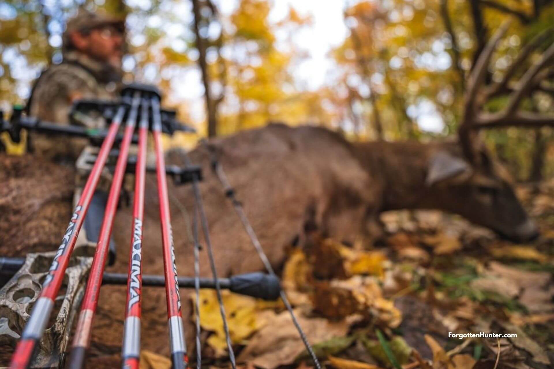 Best Arrows to Hunt Deer and Elk in 2021 - Buyer's Guide & Beginner's Guide