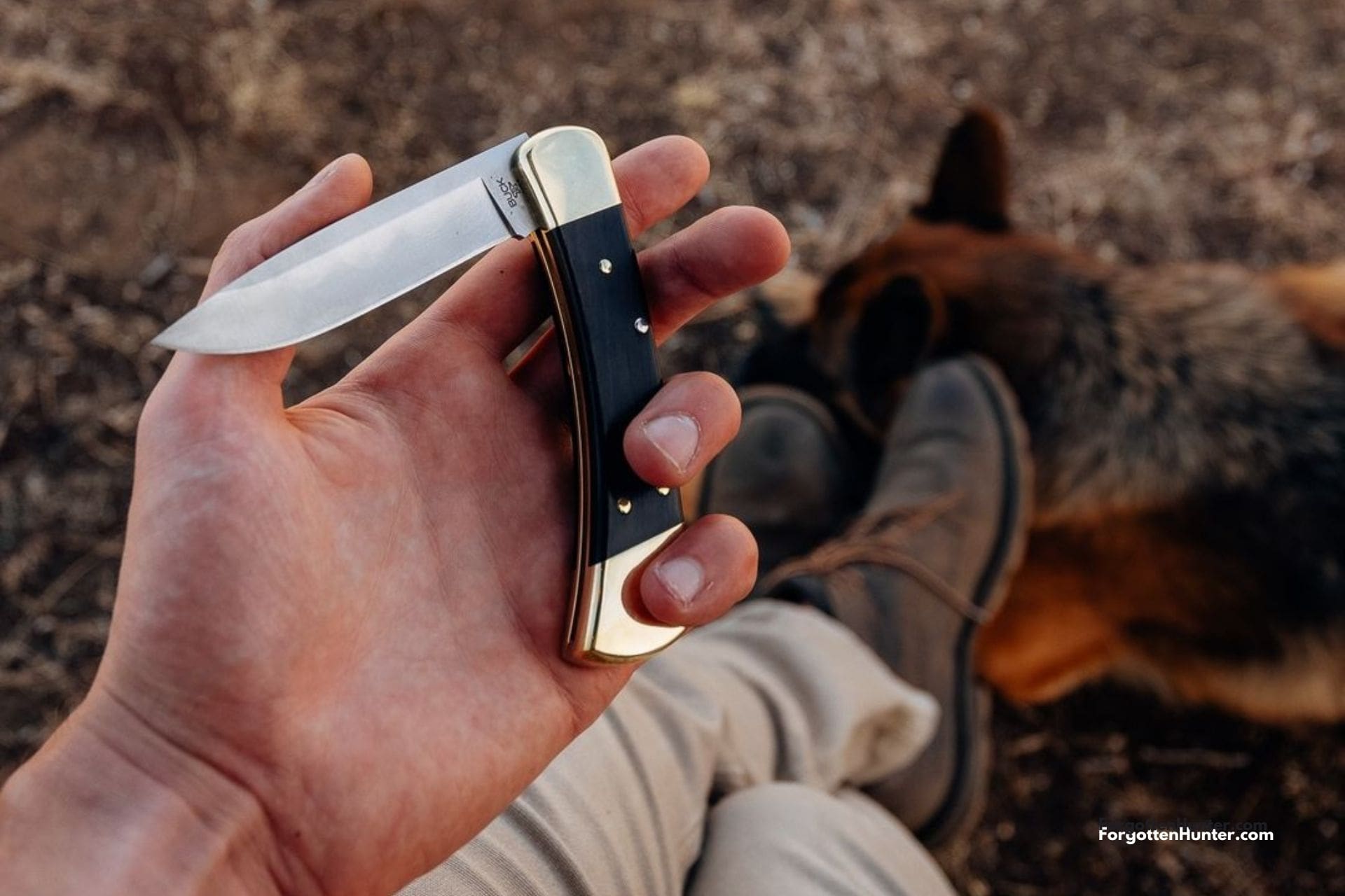 Buck 110 Review - Folding Hunter Knife