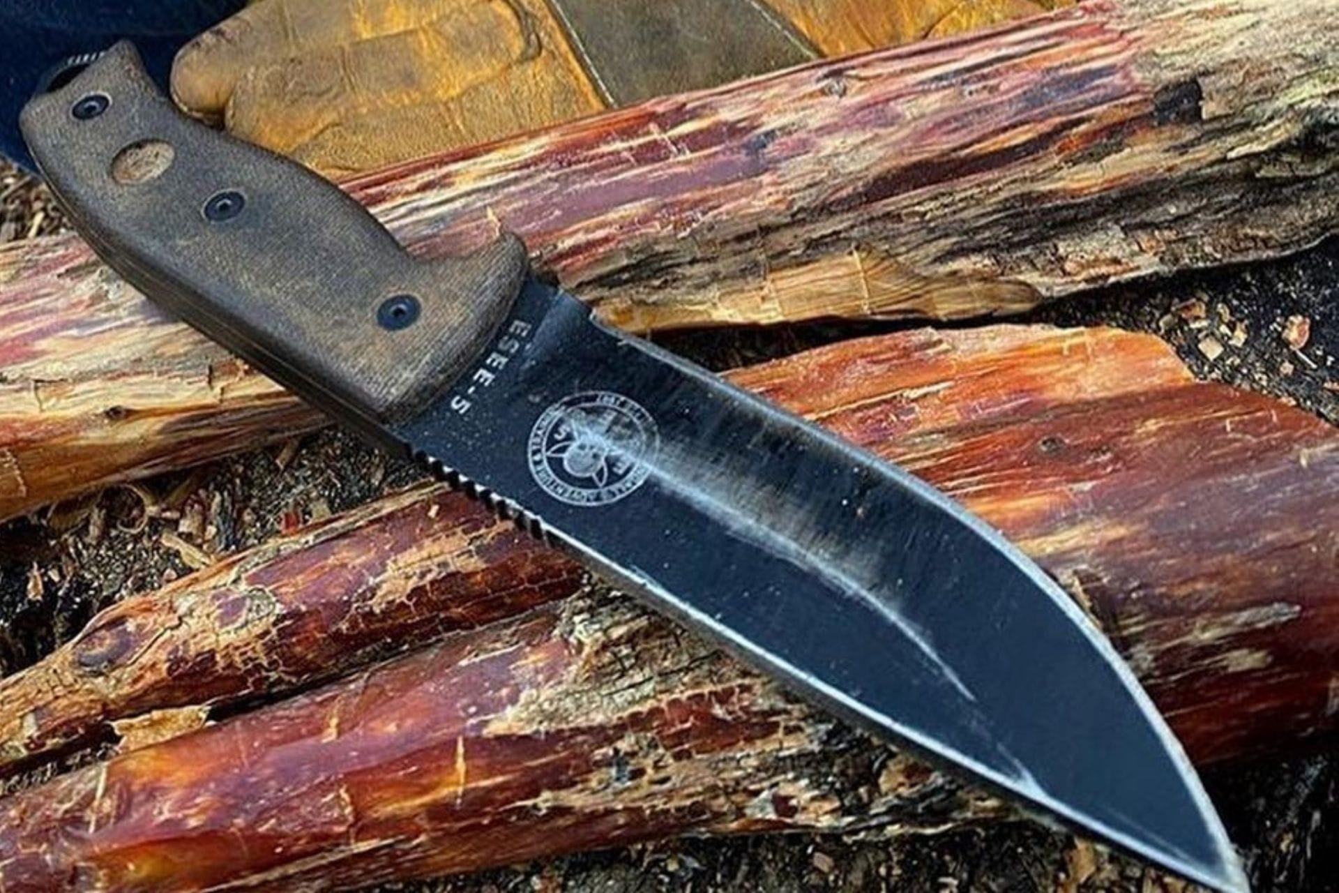 ESEE 5 Knife Review - Tactical Survival Knife