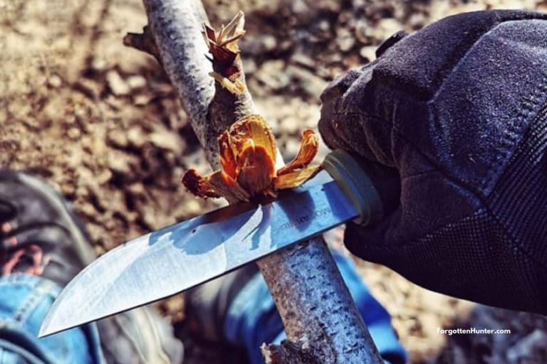 Morakniv Kansbol Review - Survival and Hunting Knife 6 Morakniv Kansbol Review – Survival and Hunting Knife