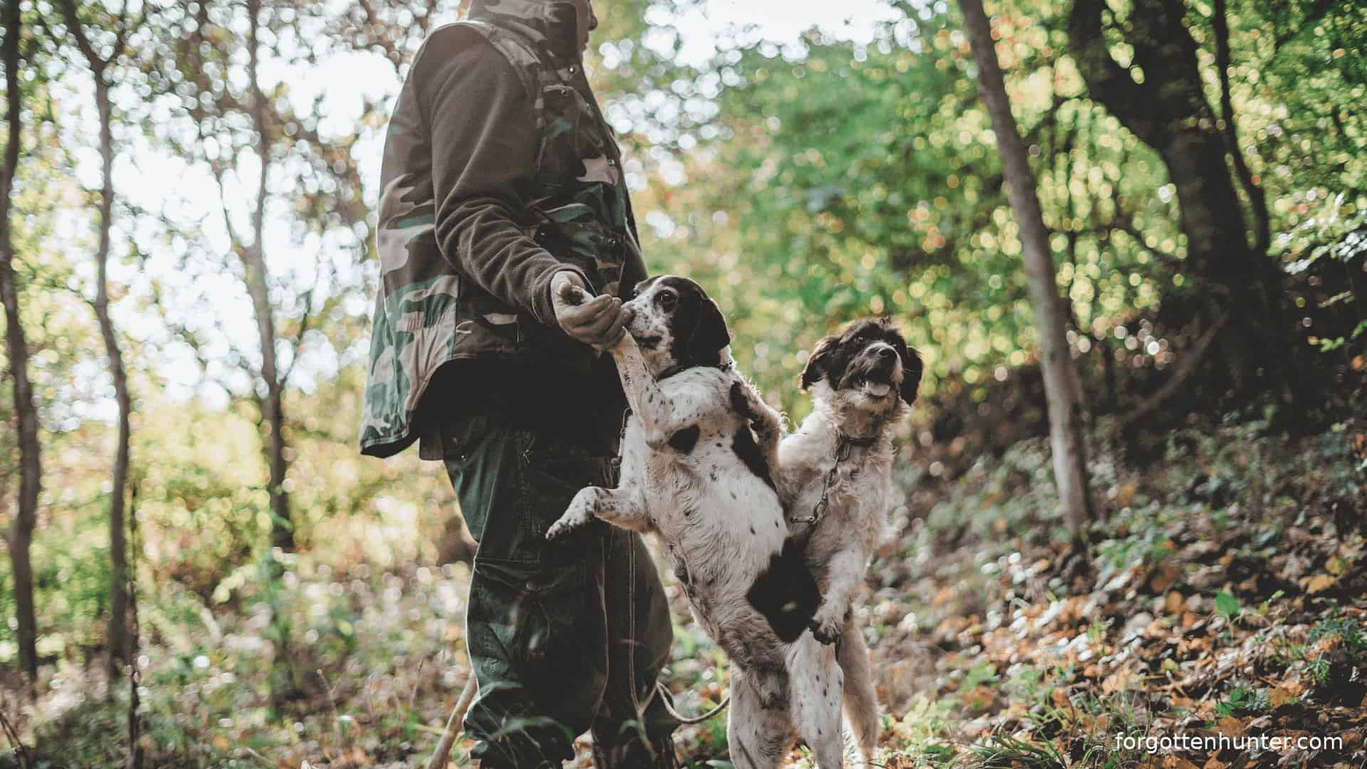 Best Base Layers For The 2020 Hunting Season