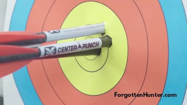 TenPoint Turbo M1 Review - Accurate, Powerful and Narrow Crossbow 12 TenPoint Turbo M1 Tight Groups