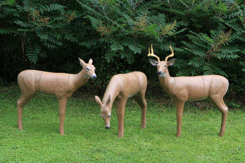 14 Best Crossbow Targets in 2022 - Reviews and Buyer's Guide 33 Real Wild 3D Big Buck Archery Target