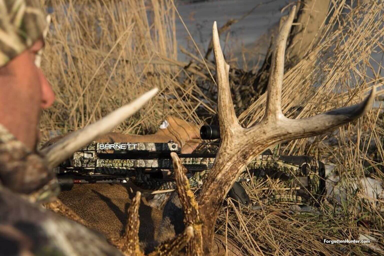 Barnett Whitetail Hunter Pro STR Crossbow Review - Is It Still Worth Picking Up In 2021