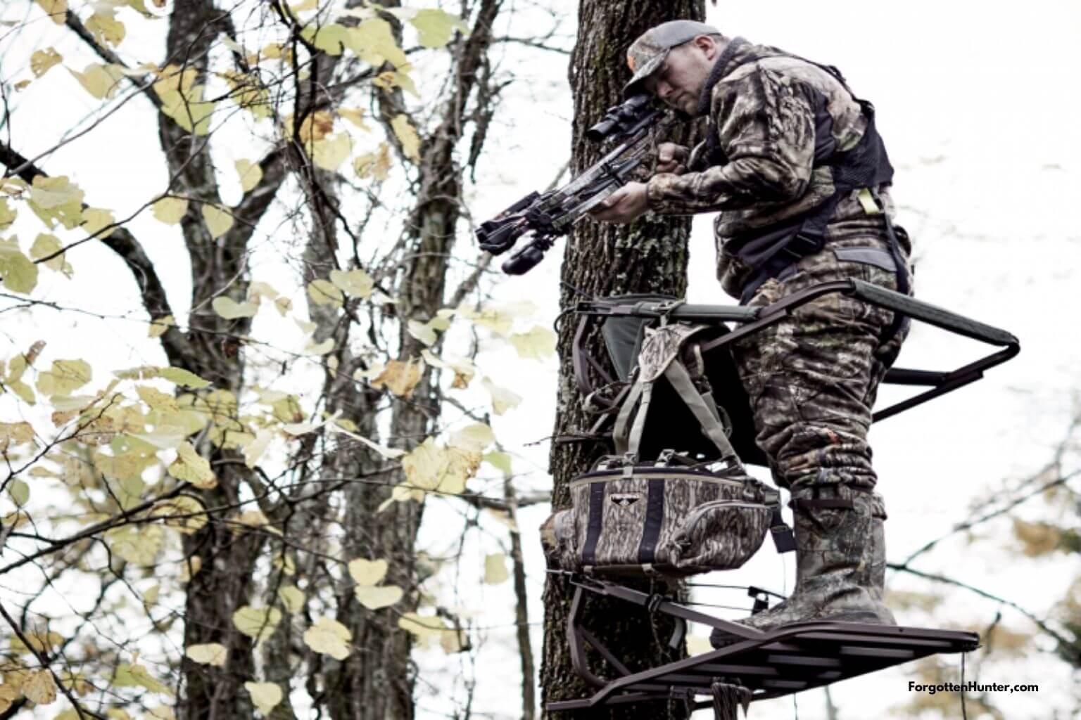 New Barnett Crossbows for 2021