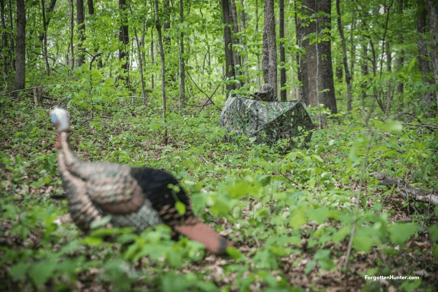 Best Hunting Blinds in 2022 - Reviews and Buyer's Guide 25 Conceilment