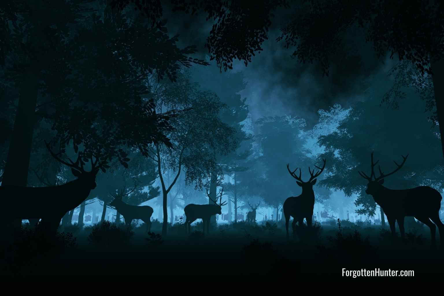 9 Low Light Hunting Tips For a Succesful Early Morning or Evening Hunt