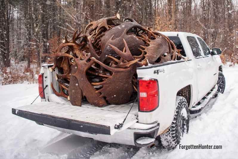 Top 4 Reasons Why Maine Should Be Your Next Shed Hunting Destination & How to Get Started 3 Truck filled with antlers