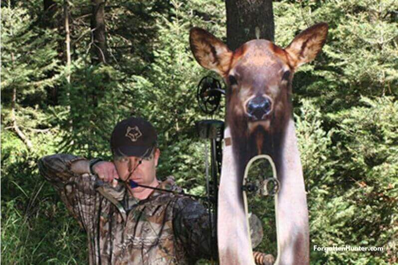 The 5 Best Deer Decoys for 2022 Field Tested – Buyer’s Guide 13 Deer Doe Stalker Decoy