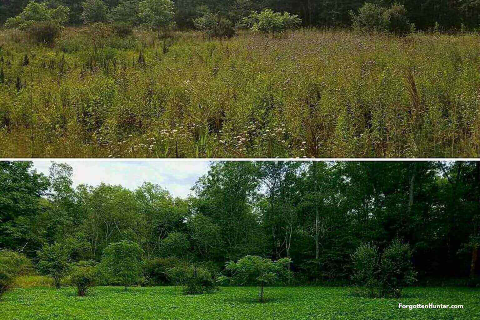 Length of time forage is available